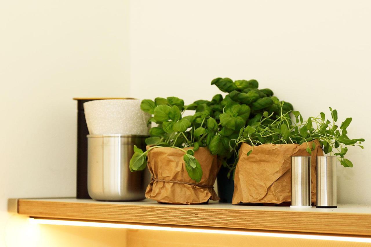 Chase Apartments-boutiquehotel Style I